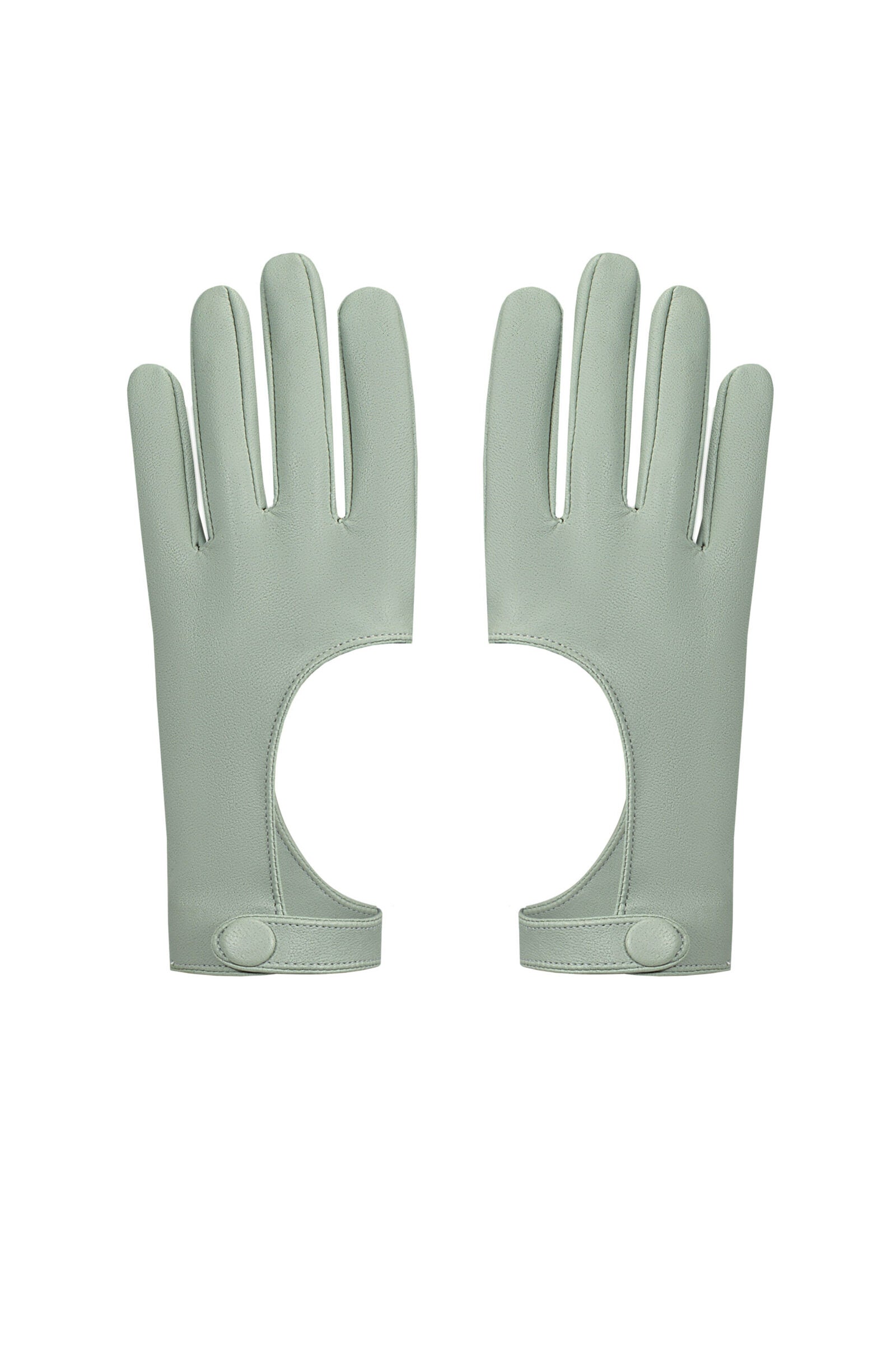 IMG_8501 jкопия